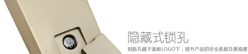 豪力士指纹锁智能锁  D3633F木门铁门密码锁防盗门锁 手机AAP感应电子锁