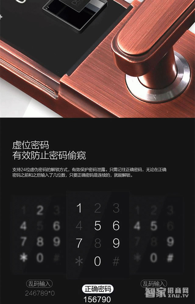 百思易智能锁 智能门锁/五大开锁方式/锌合金材质