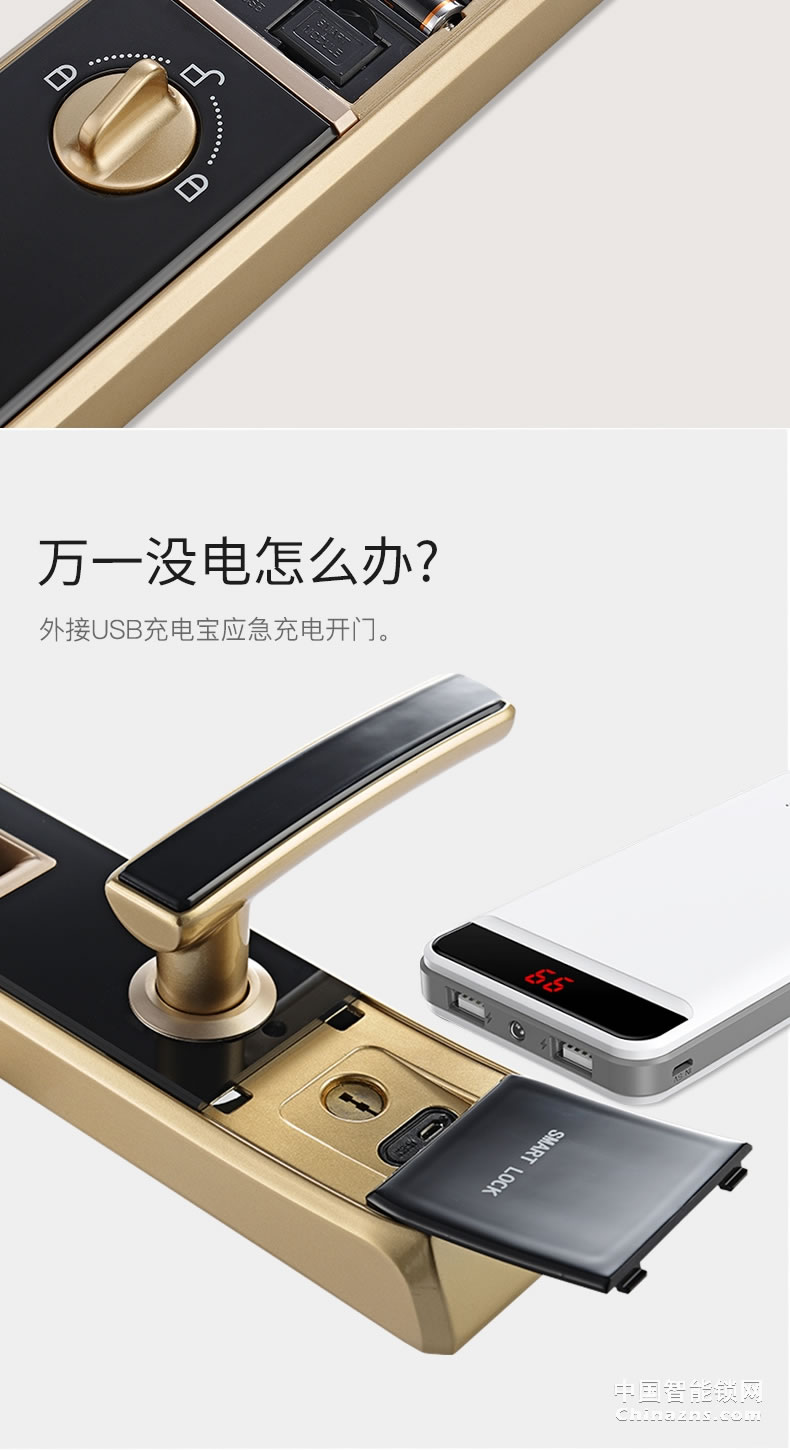 YGS杨格指纹锁 密码锁智能锁电子锁 指纹家用防盗门锁智能门锁S62