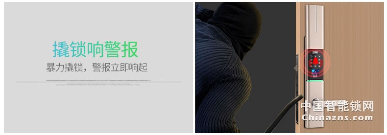 杨格智能锁指纹锁 家用防盗门锁家用自动密码锁电子锁T8-D