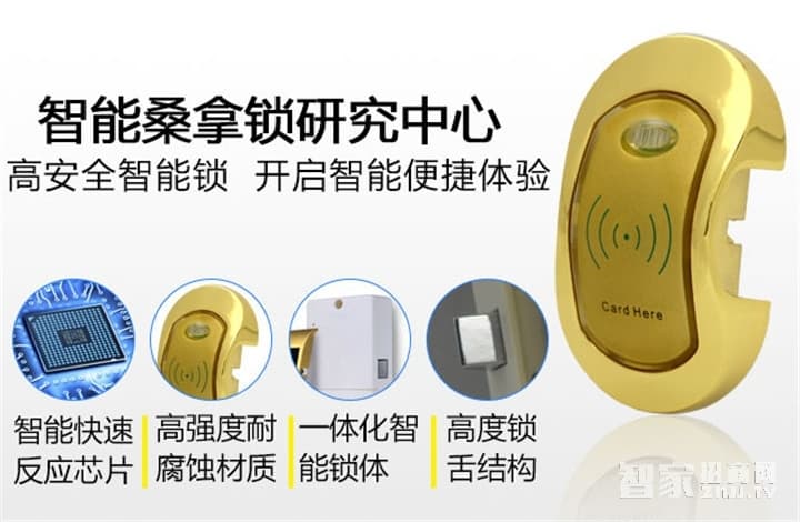 采虹智能锁 储物柜锁 锌合金智能柜锁