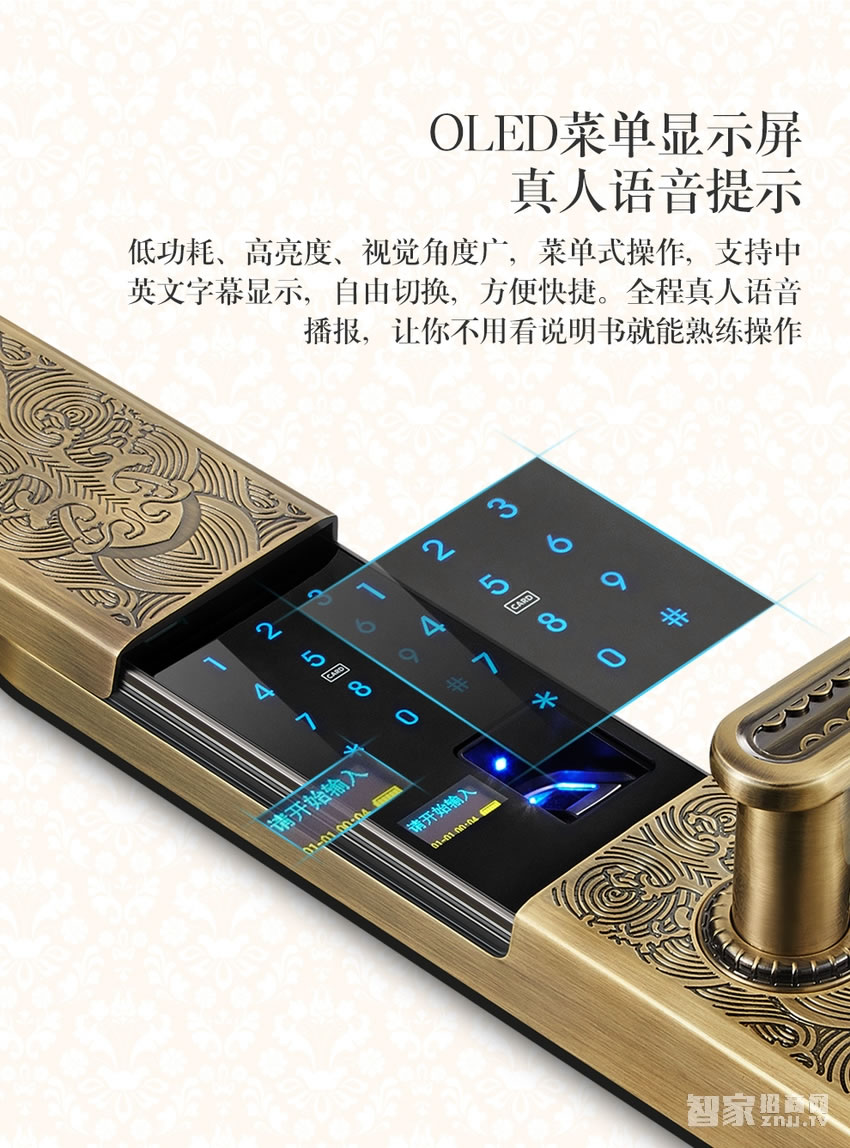 欧莱斯顿 指纹锁智能锁别墅门古典奢华家用电子锁