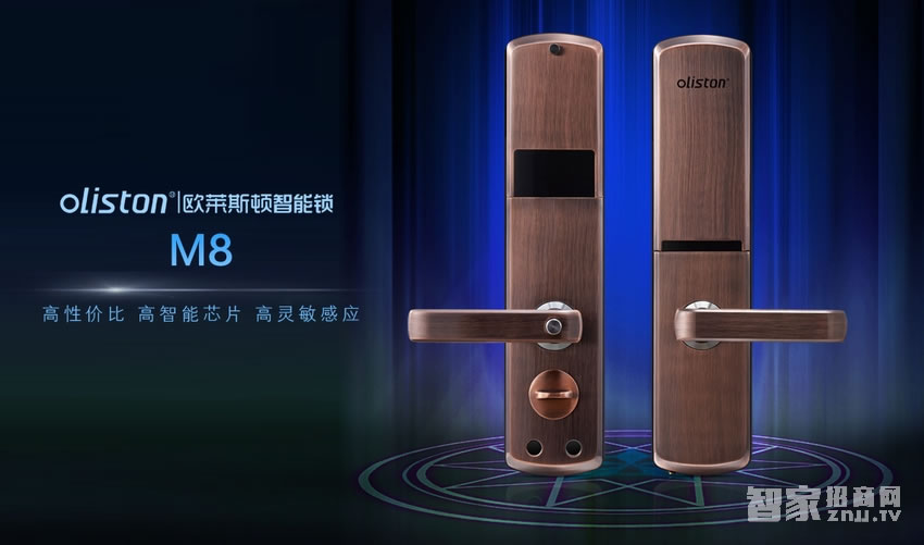 欧莱斯顿 指纹锁智能锁 家用防盗门锁云电子锁密码锁