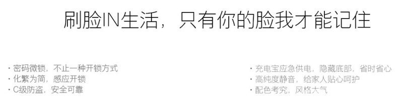 朗凯斯人脸识别智能刷卡锁 家用智能人脸识别锁