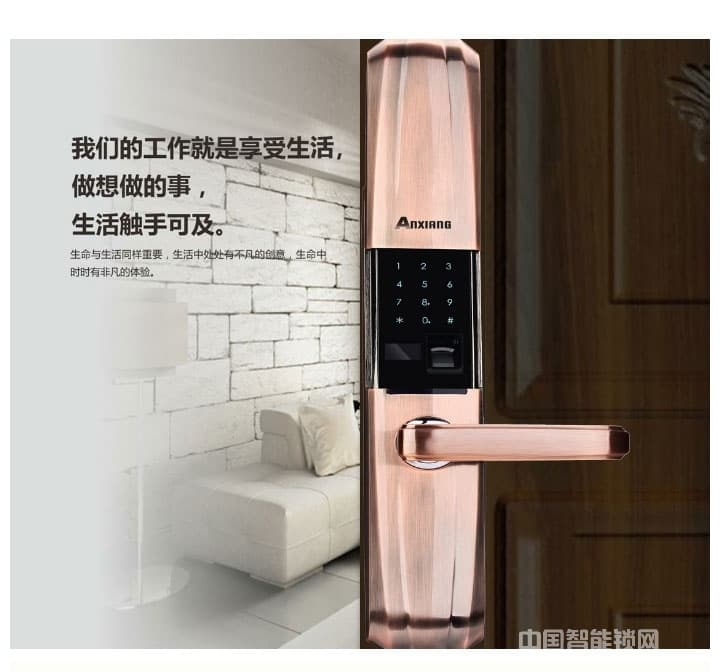 安享指纹锁 可远程操控智能锁 家用指纹密码锁