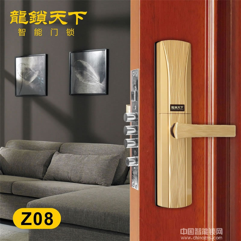 龙锁天下家用别墅滑盖指纹锁 室内防盗门锁