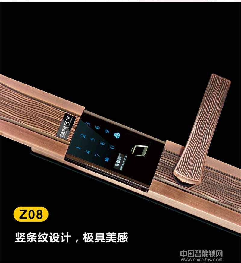 龙锁天下家用别墅滑盖指纹锁 室内防盗门锁