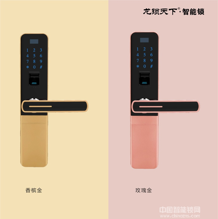 龙锁天下双曲面触摸屏智能锁 指纹密码防盗锁