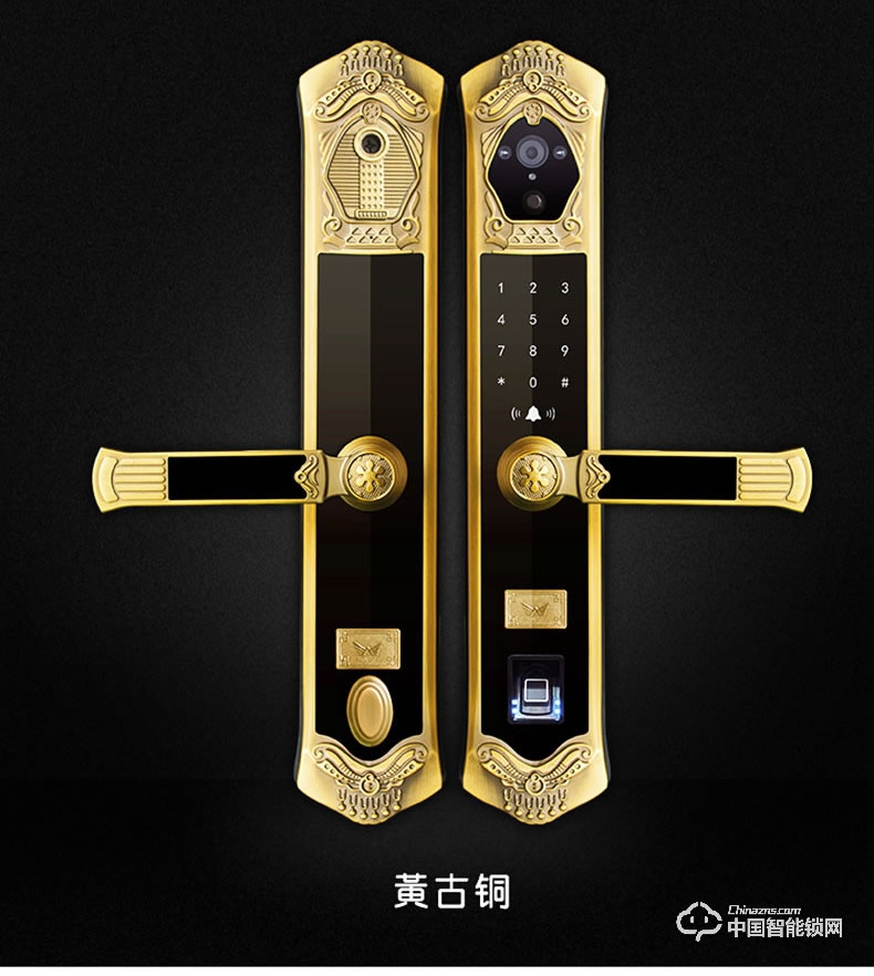 九万里智能锁J900 欧式指纹锁家用防盗门高端别墅大门锁