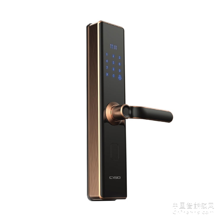 西巢直板指纹锁 RSDXC-DS513 室内门电子锁