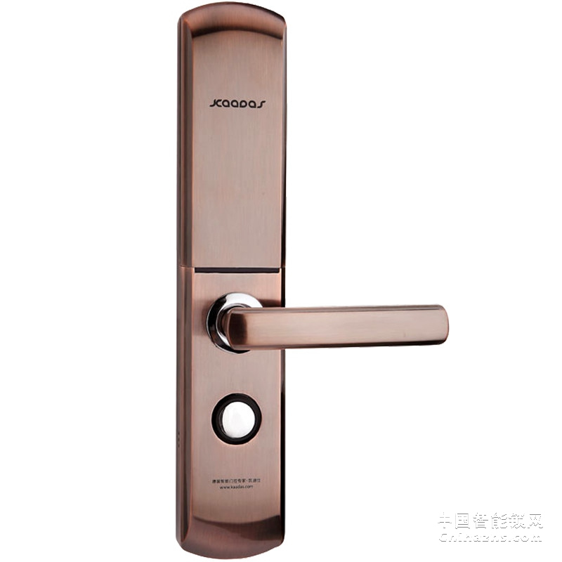 凯迪仕智能锁 电子门锁 防盗门指纹密码锁6113