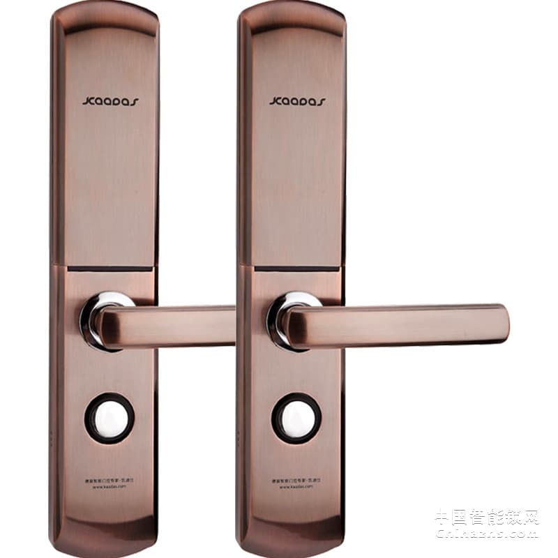 凯迪仕智能锁 电子门锁 防盗门指纹密码锁6113