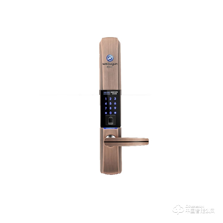 鼎程防盗门高端指纹锁 手机APP家用指纹锁