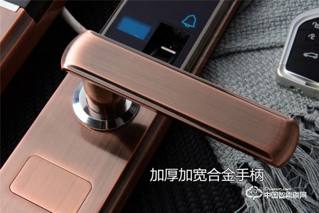 伊派尔指纹锁 人脸识别掌静脉指纹锁家用防盗门锁密码锁智能锁