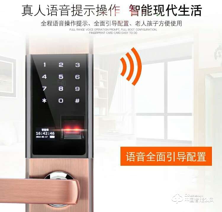 智得利智能锁 家用指纹密码锁 防盗门电子刷卡锁A-625