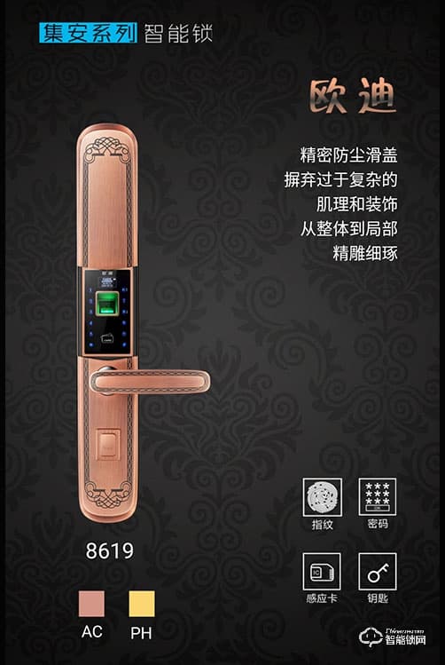 金典智能锁 ZF8619-PH智能锁