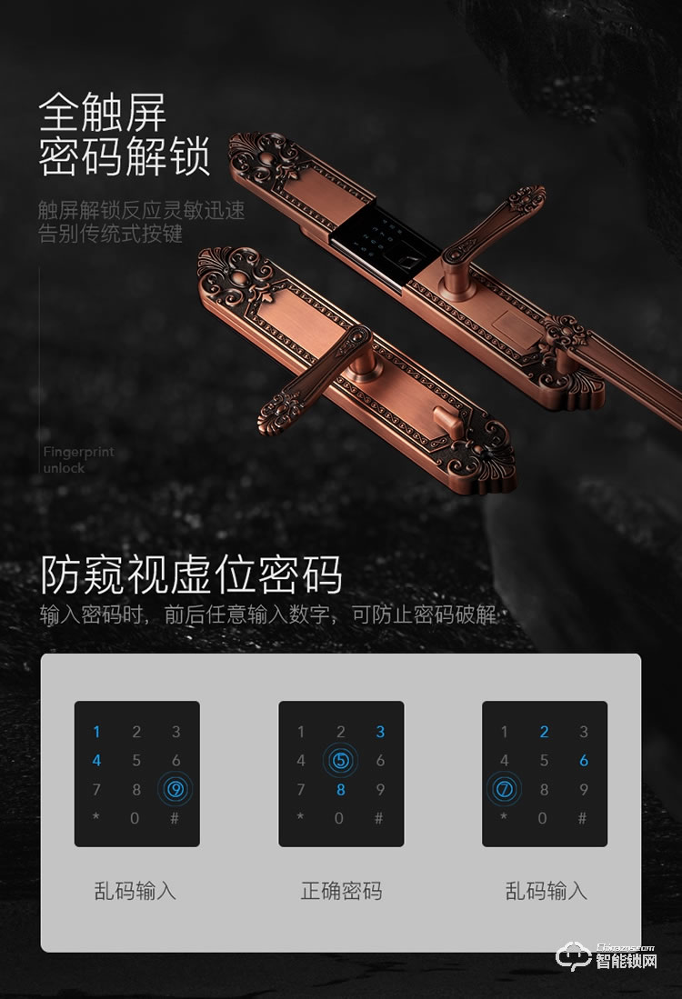 荣钥指纹锁 S6欧式别墅防盗门锁电子门锁