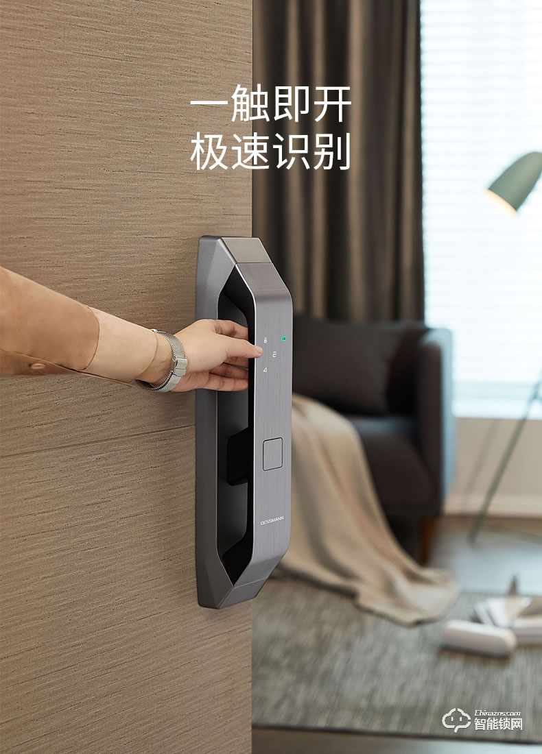 德施曼智能锁 Q5全自动智能指纹锁家用防盗门密码锁