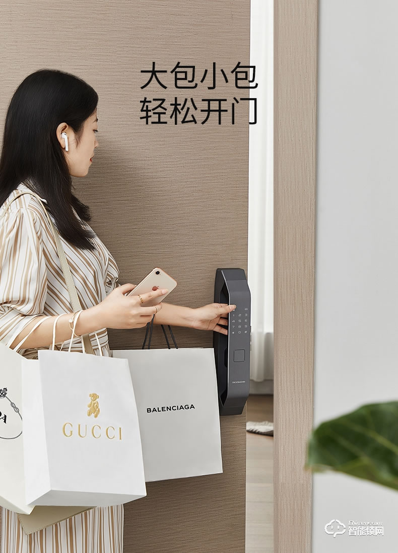 德施曼智能锁 Q5全自动智能指纹锁家用防盗门密码锁