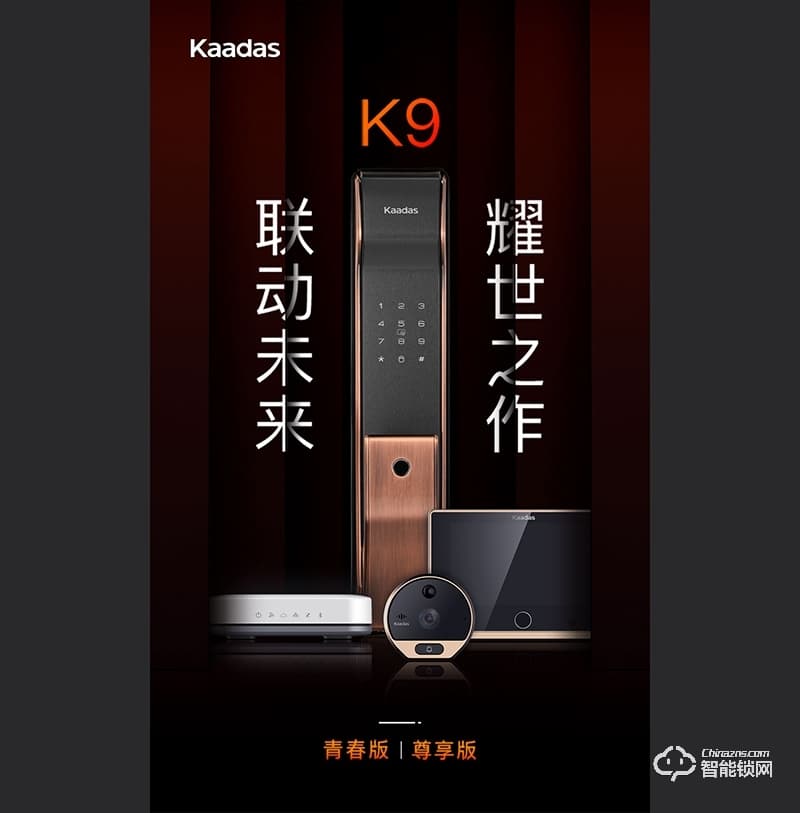 凯迪仕智能锁 K9智享版智能锁防盗门锁