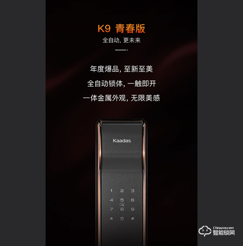 凯迪仕智能锁 K9智享版智能锁防盗门锁
