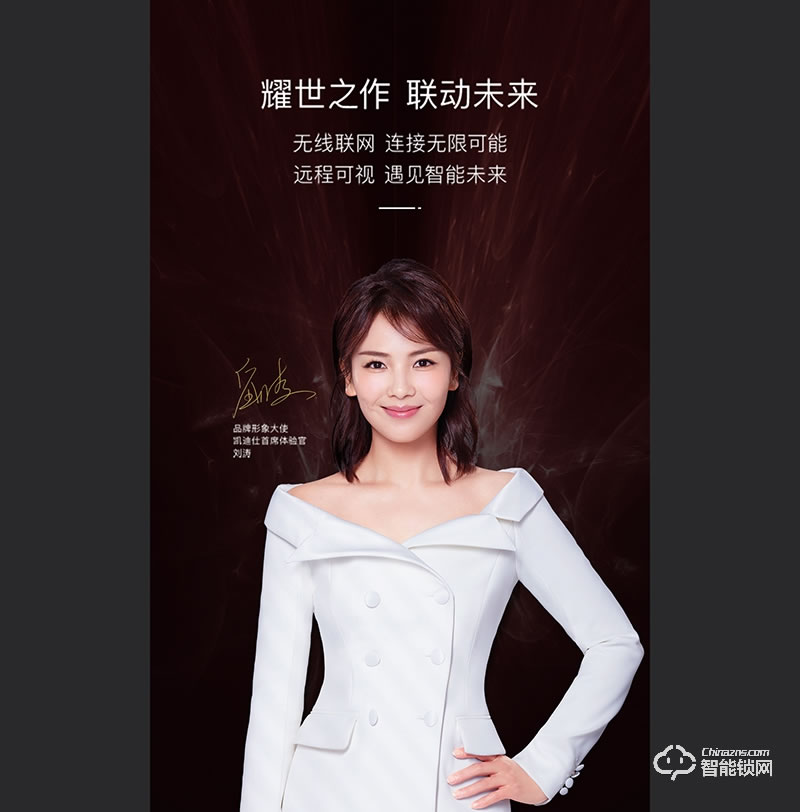凯迪仕智能锁 K9智享版智能锁防盗门锁