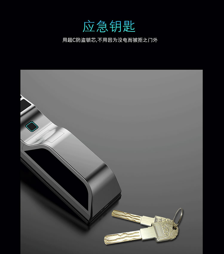 皇家金盾智能锁 R30人脸识别锁全自动智能锁