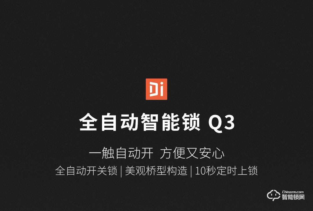 德施曼智能锁 Q3全自动智能指纹锁防盗门密码锁