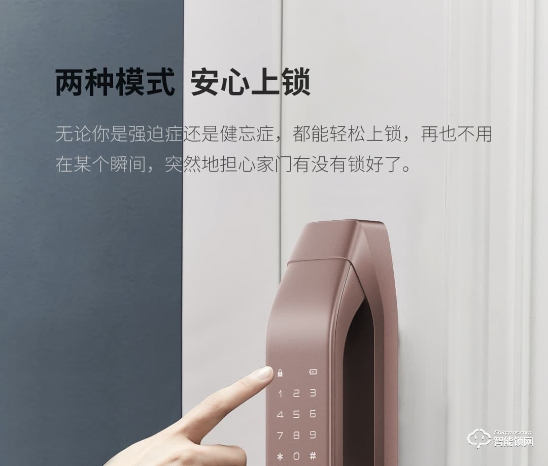 德施曼智能锁 Q3全自动智能指纹锁防盗门密码锁
