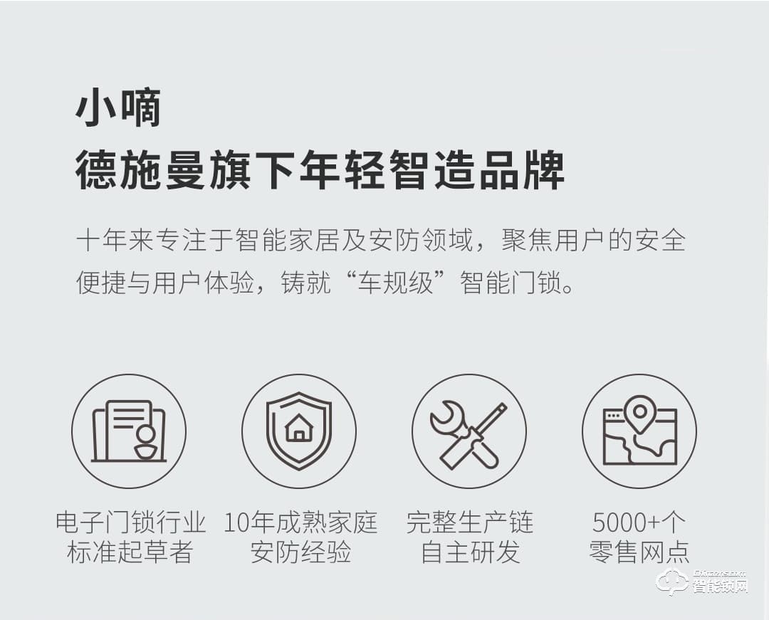 德施曼智能锁 Q3全自动智能指纹锁防盗门密码锁