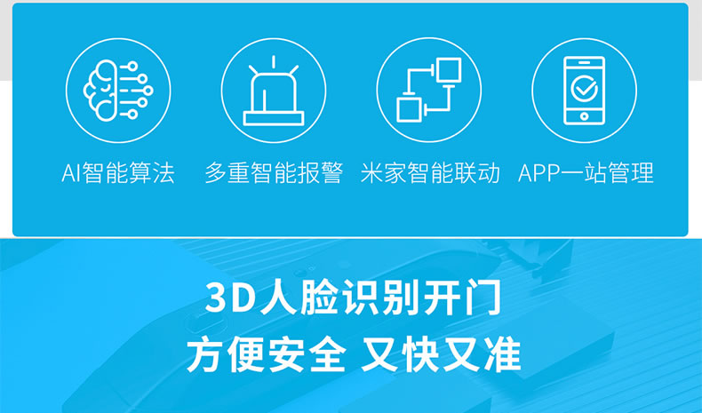 德施曼智能锁 R5人脸识别全自动智能门锁