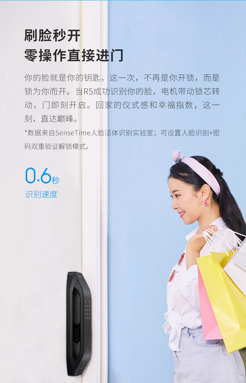 德施曼智能锁 R5人脸识别全自动智能门锁