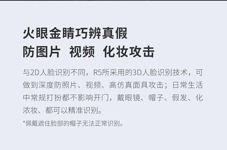 德施曼智能锁 R5人脸识别全自动智能门锁