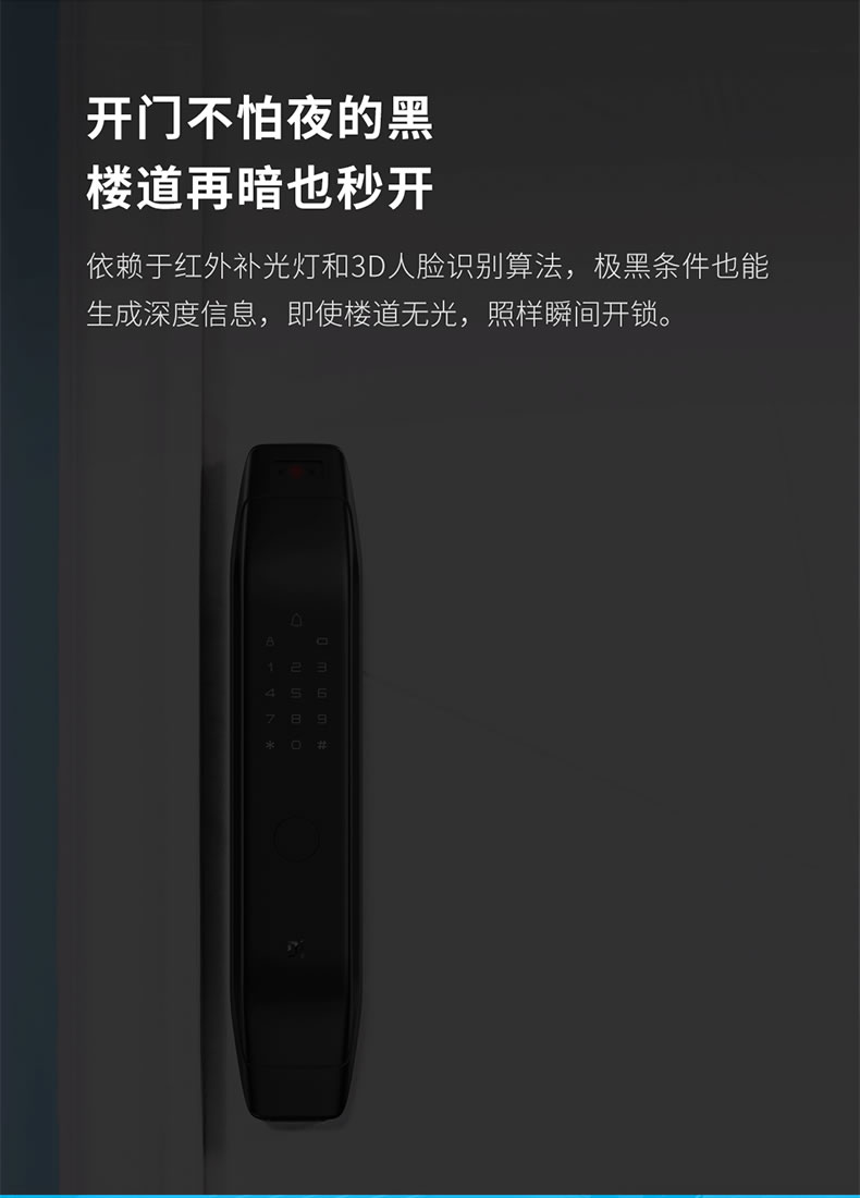 德施曼智能锁 R5人脸识别全自动智能门锁