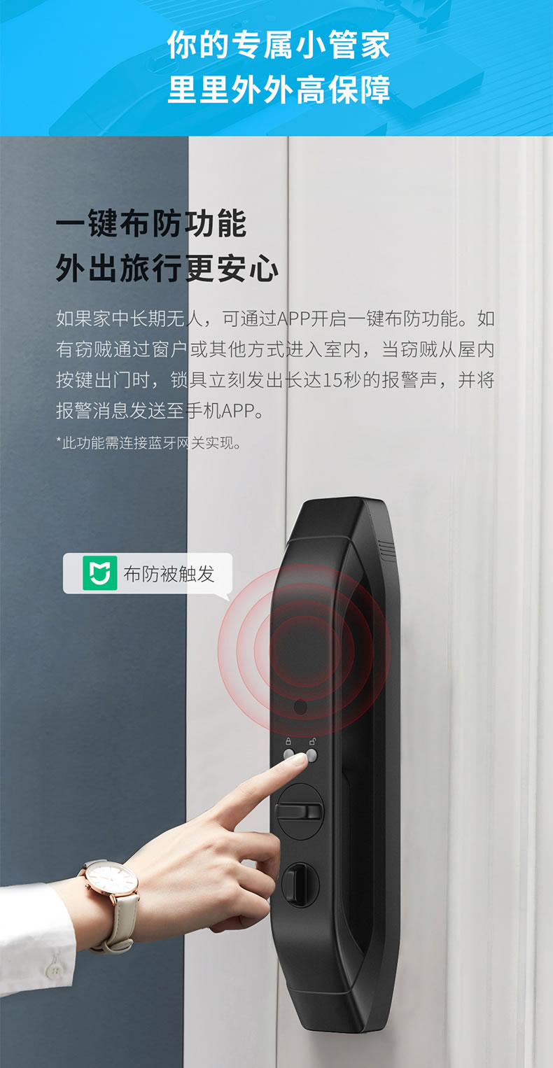 德施曼智能锁 R5人脸识别全自动智能门锁