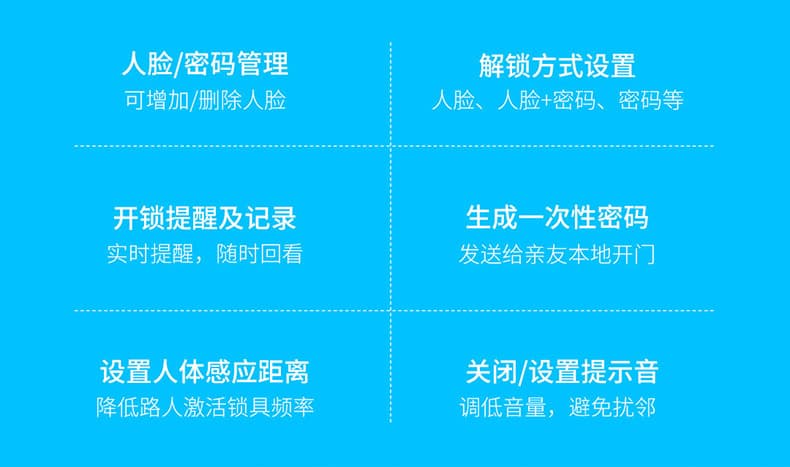 德施曼智能锁 R5人脸识别全自动智能门锁