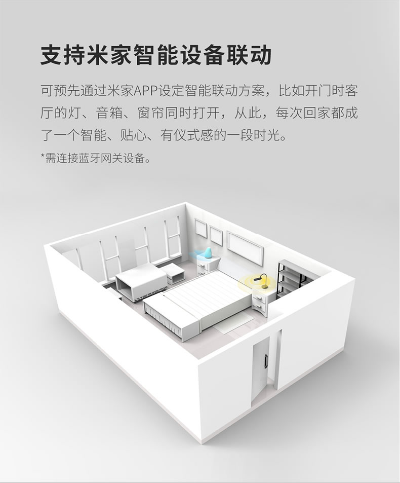 德施曼智能锁 R5人脸识别全自动智能门锁