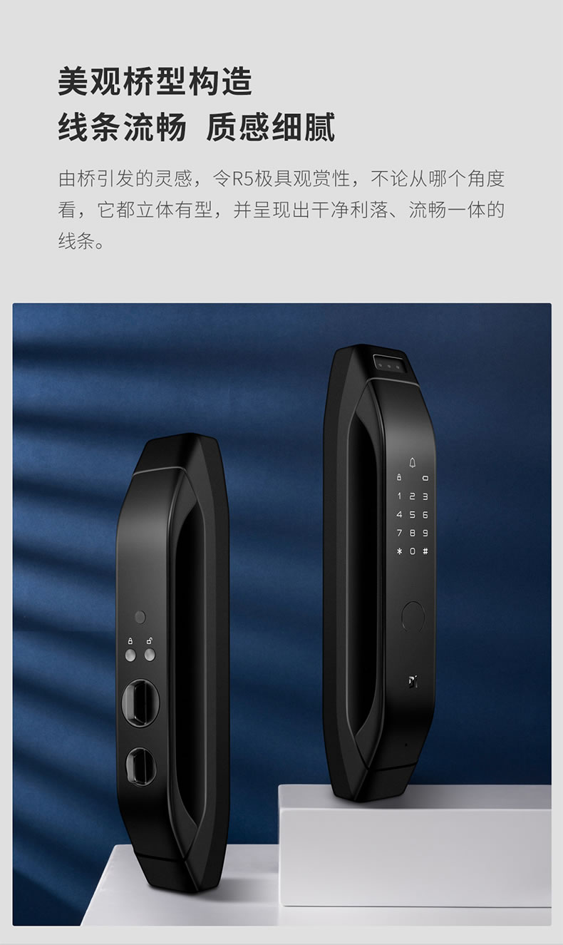 德施曼智能锁 R5人脸识别全自动智能门锁
