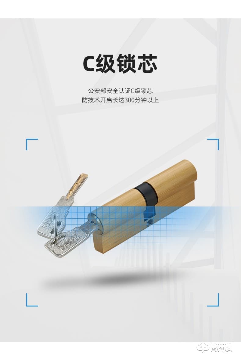 乐肯智能锁 6609-L欧式古典大拉手智能门锁