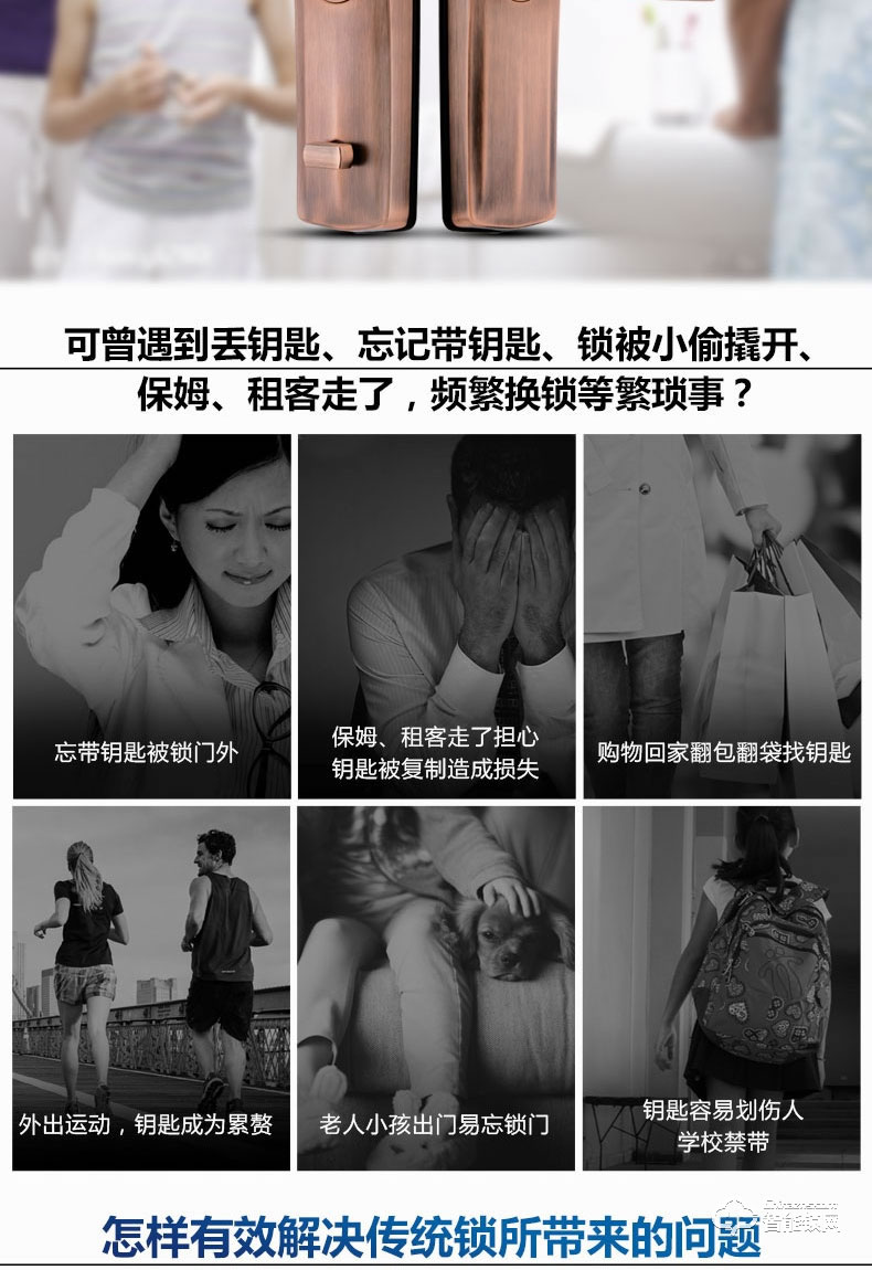 豪力士智能锁  D9001F家用防盗门智能锁大门锁