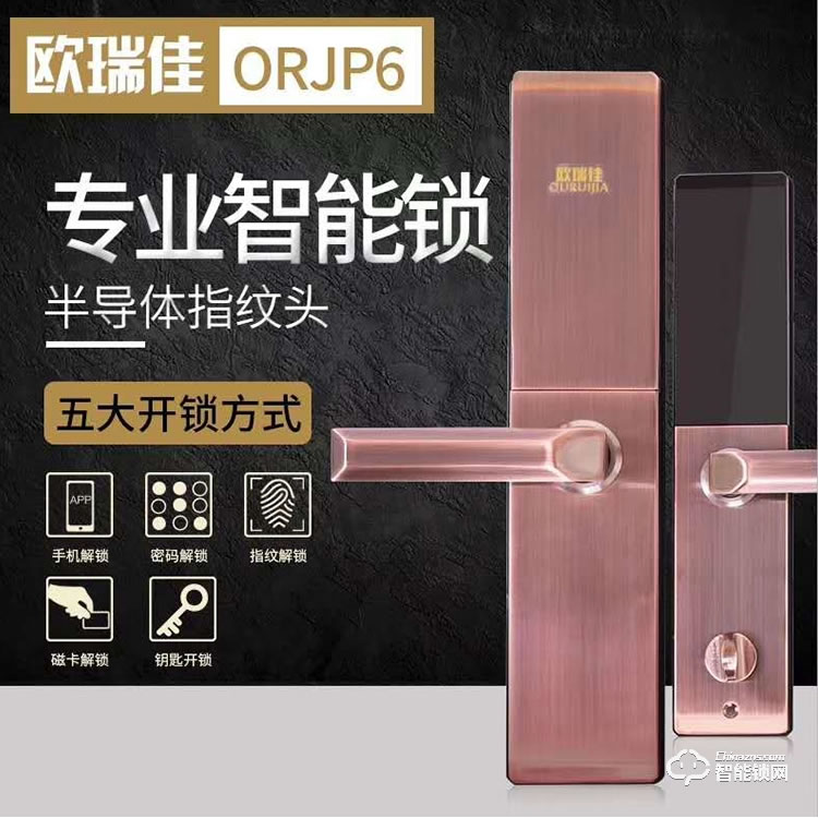 欧瑞佳智能锁 P6半导体指纹头 五大开锁方式