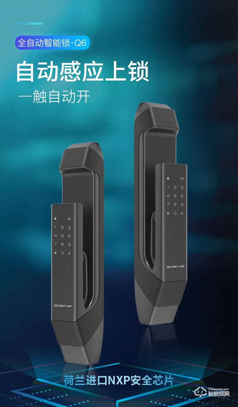 德施曼智能锁 Q6家用防盗门密码锁智能锁电子门锁