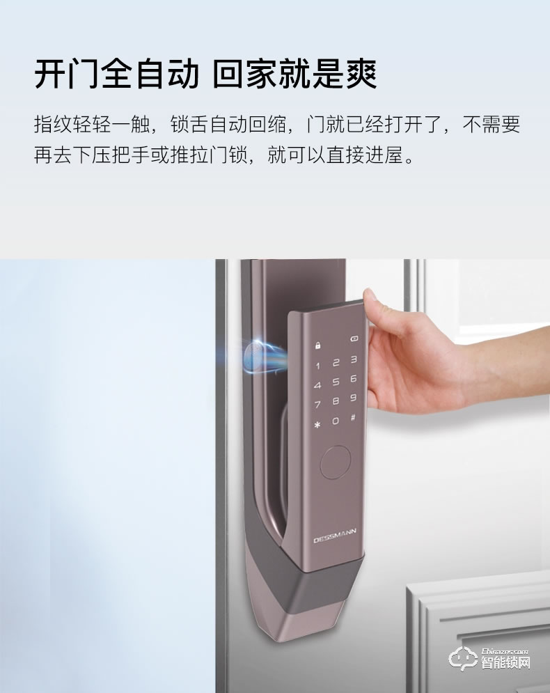 德施曼智能锁 Q6家用防盗门密码锁智能锁电子门锁