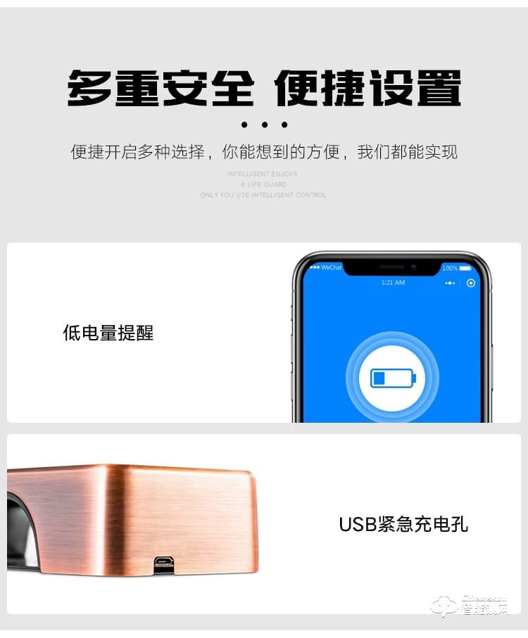 艾创米智能锁 F2全自动新款大门远程密码锁