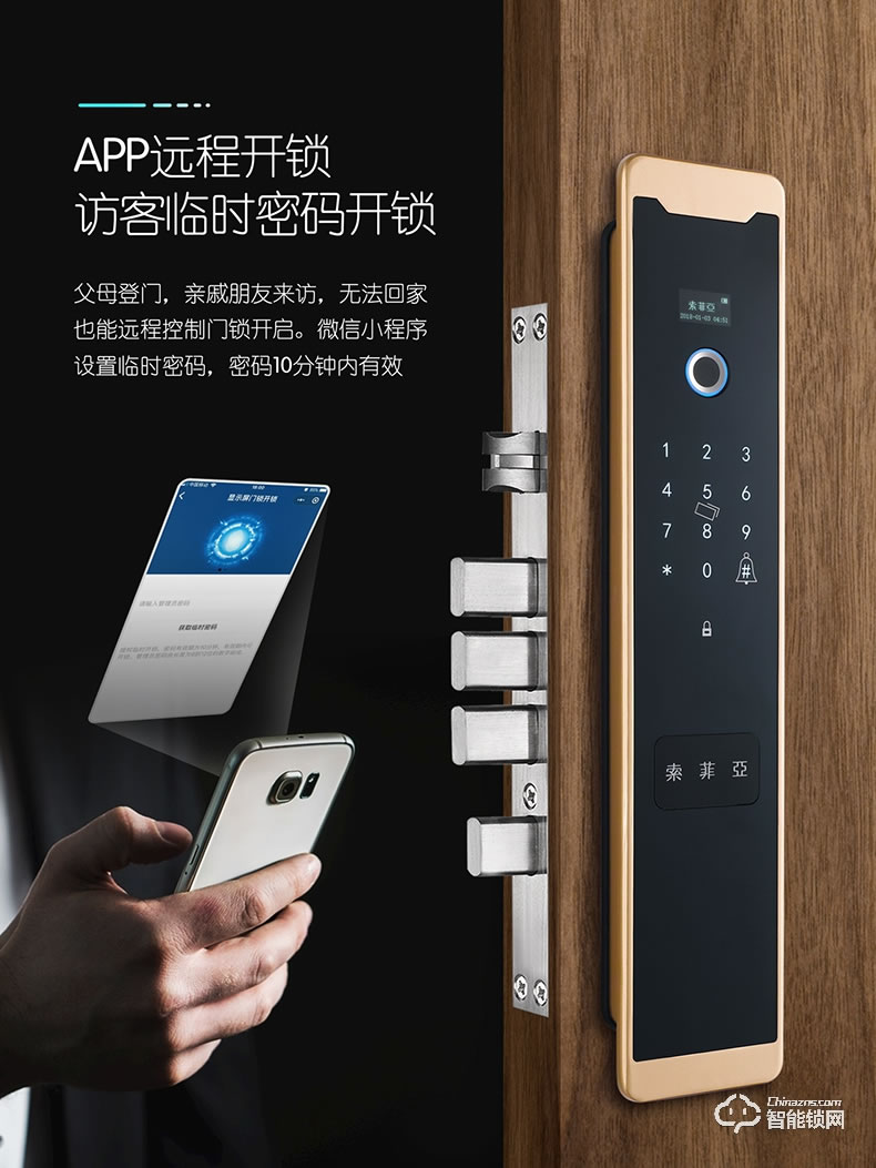 索菲亚智能锁 S10R防盗门家用磁卡密码锁