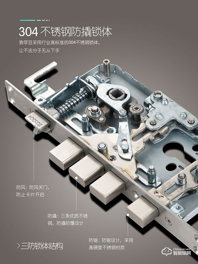 索菲亚智能锁 S10R防盗门家用磁卡密码锁