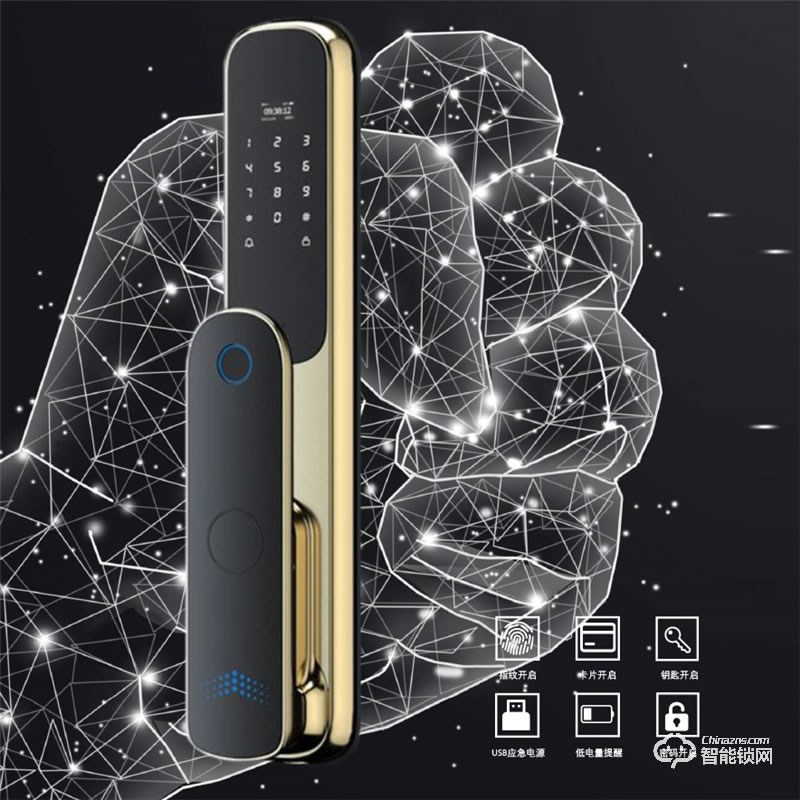 柏斯格智能锁 P30防盗门家用电子密码锁