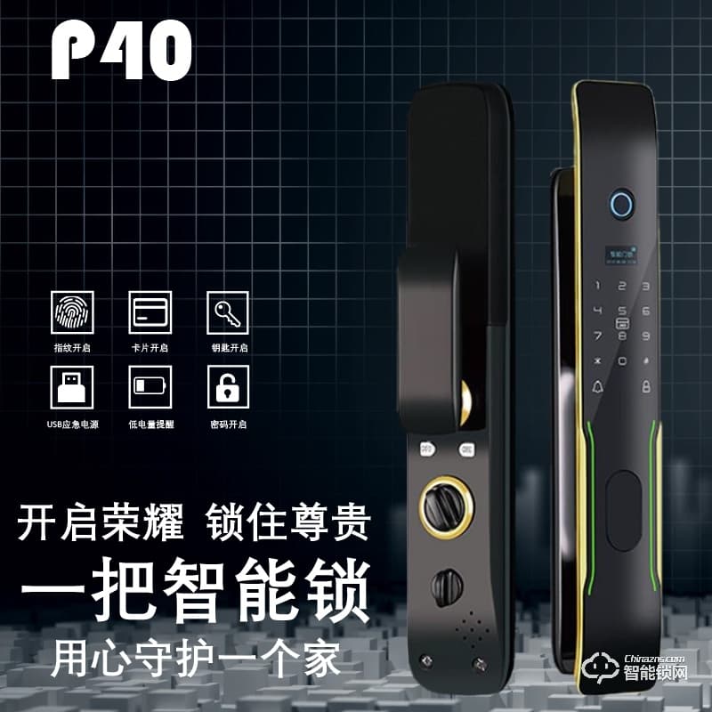 柏斯格智能锁 P40防盗门家用磁卡密码锁