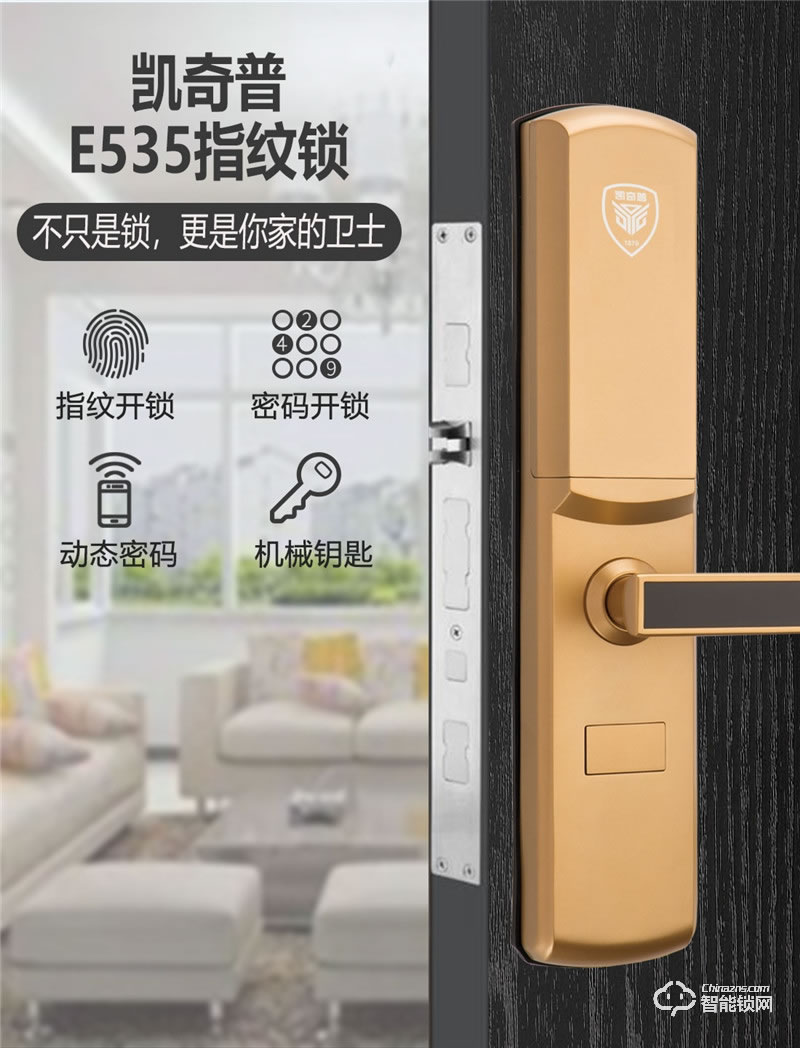 凯奇普智能锁 E535家用多重认证智能门锁