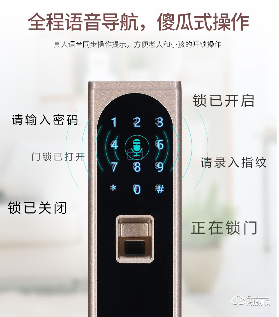 触享智能锁 CXL11系列时尚风智能门锁
